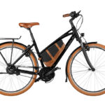 Riese & Müller CRUISER 2 Mixte vario