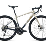 Giant LIV AVAIL AR1