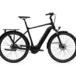Giant DAILYTOUR E+2 GTS