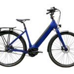 Maxcycles In Lite 2 Wave