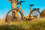Maxcycles Lite Step – Bild 2