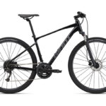 Giant ROAM 2