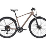 Giant ROAM 2 Ex