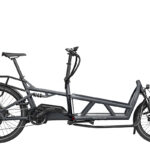 Riese & Müller LOAD 60 touring