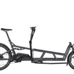 Riese & Müller LOAD 4 75 Rohloff