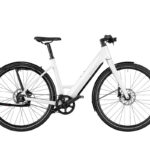 Riese & Müller UBN Six Silent